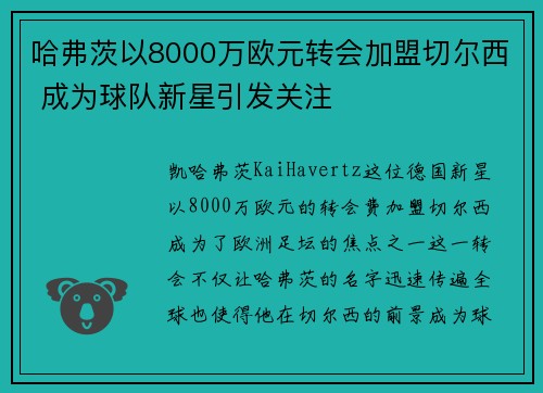 哈弗茨以8000万欧元转会加盟切尔西 成为球队新星引发关注 哈弗茨以8000万欧元转会加盟切尔西 成为球队新星引发关注